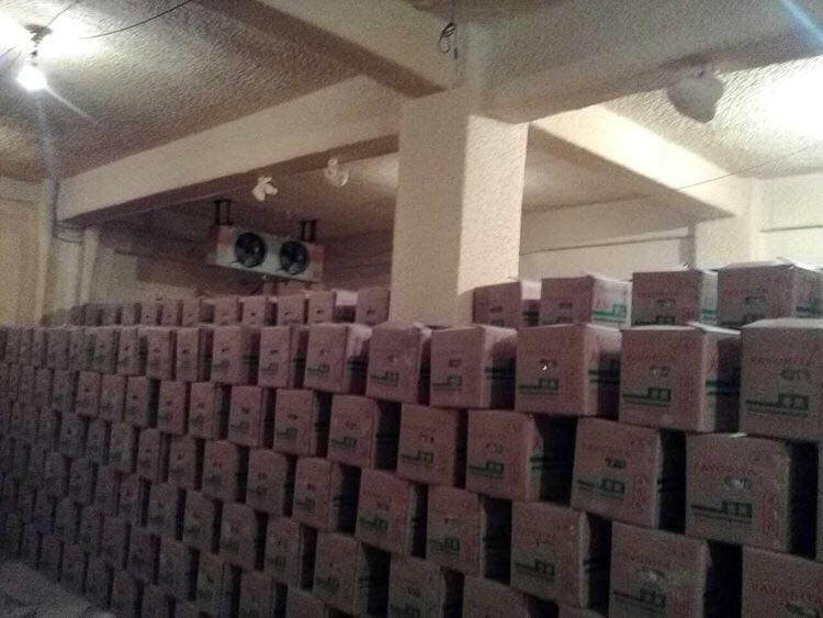 香蕉保鮮冷庫(kù)