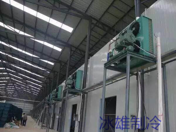 水果冷藏庫(kù)