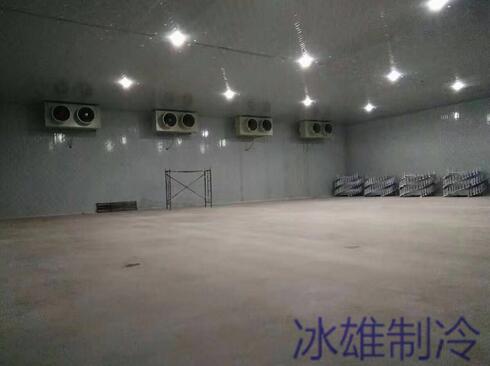 冷庫設(shè)備如何重要，改如何正確的維修呢？